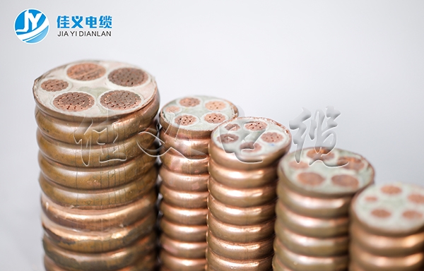 東北粉色视频网站 東北粉色视频网站